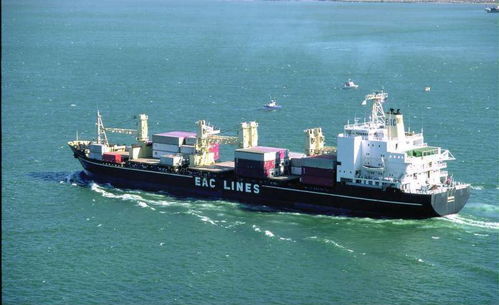 專業高效，上海易馳貨運助您輕松實現國際海運